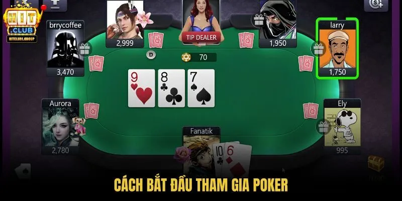cach-bat-dau-tham-gia-poker cach-bat-dau-tham-gia-poker