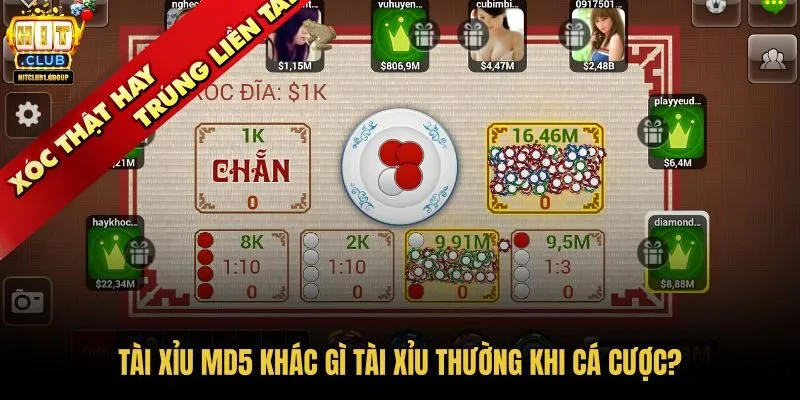 tai-xiu-md5-khac-gi-tai-xiu-thuong-khi-ca-cuoc tai-xiu-md5-khac-gi-tai-xiu-thuong-khi-ca-cuoc
