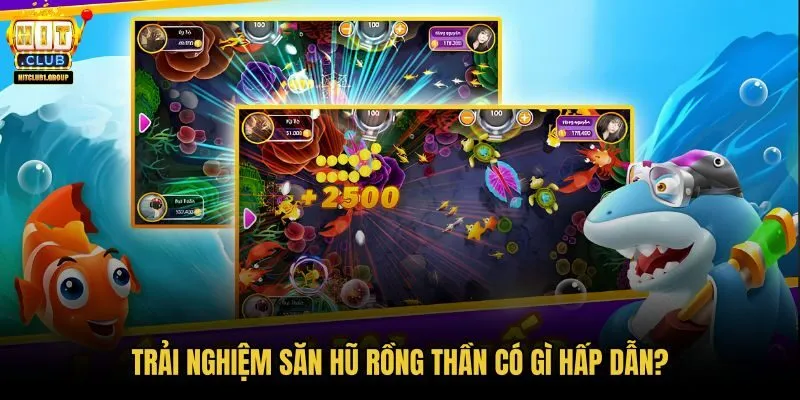 trai-nghiem-san-hu-rong-than-co-gi-hap-dan